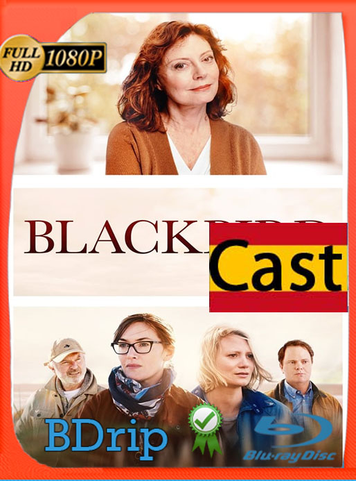 La decisión (2020) 1080p BDRip Castellano [GoogleDrive] [tomyly]