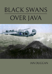 Black Swans over Java