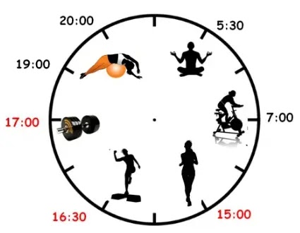 What is the best time to work out? What is the best time to work out?
