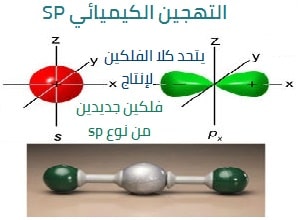 التهجين الكيميائي من نوع SP