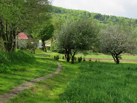 Wiśniowa nad Wisłokiem