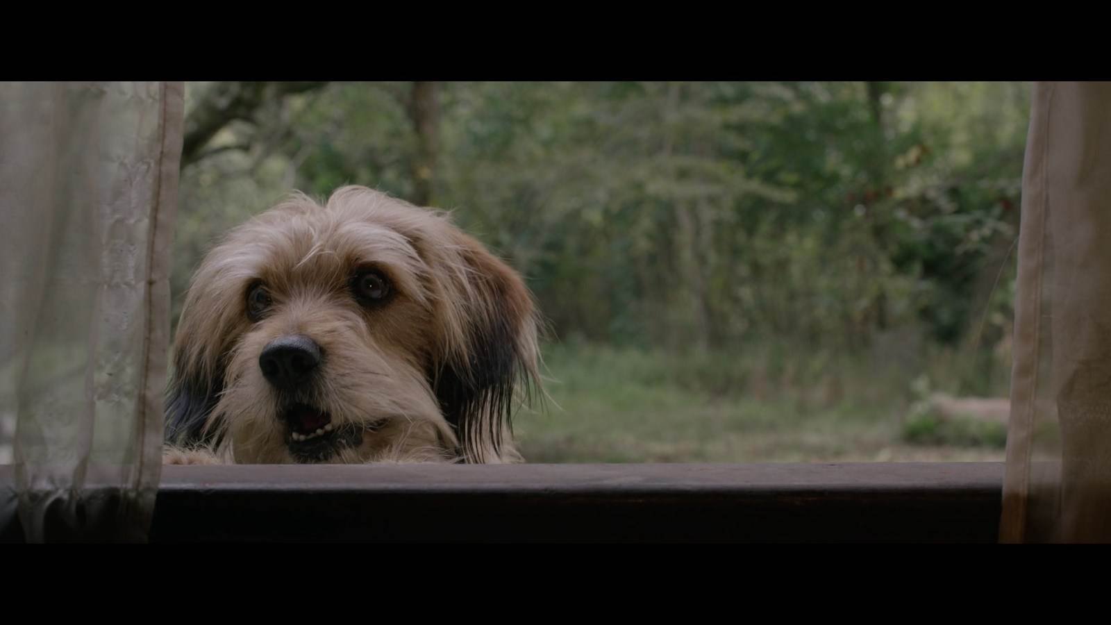 Watch Super Troopers 2 2018 Full HD 1080p full movies