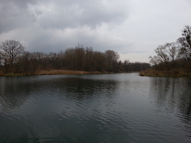 Reviervorstellung Mitterwasser Asten bei Linz