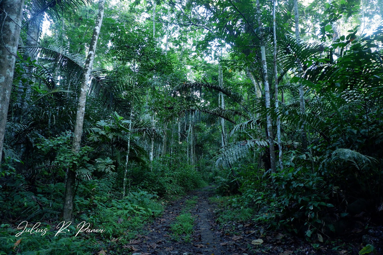 LOGSAC Birding in Pasonanca Natural Park