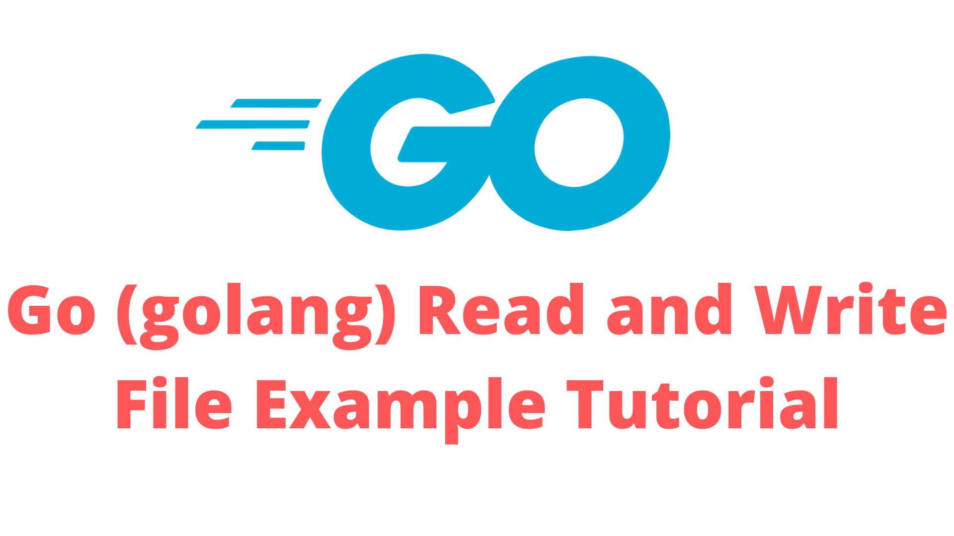 open go file – go ファイル操作 – QDHN