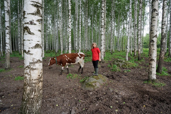 Hannu Pakarinen photo documental, finland, bosque, arboles