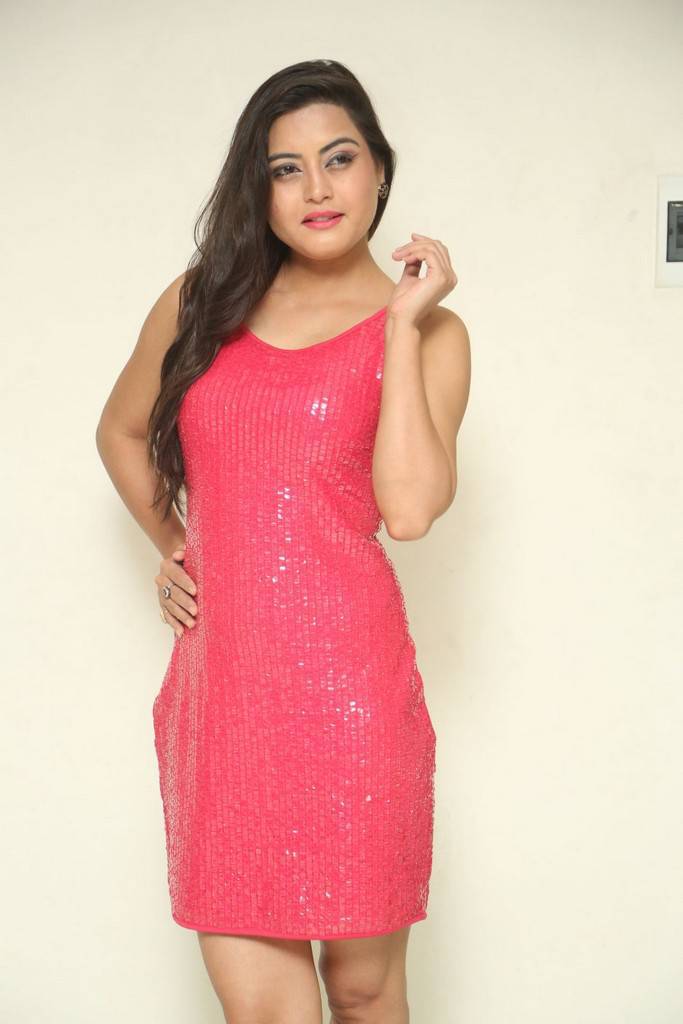 Telugu Girl Shipra Gaur Stills At Film Success Meet In Pink Dress