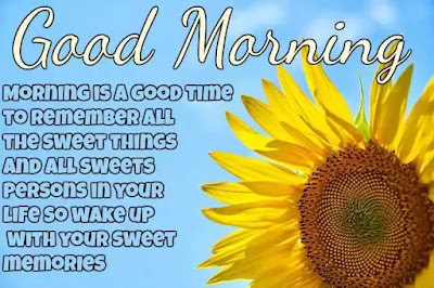 Good Morning Images Good Morning Images
