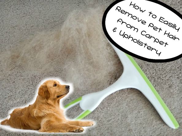 how to easily remove pet hair from carpet and upholstery — a modern mrs.