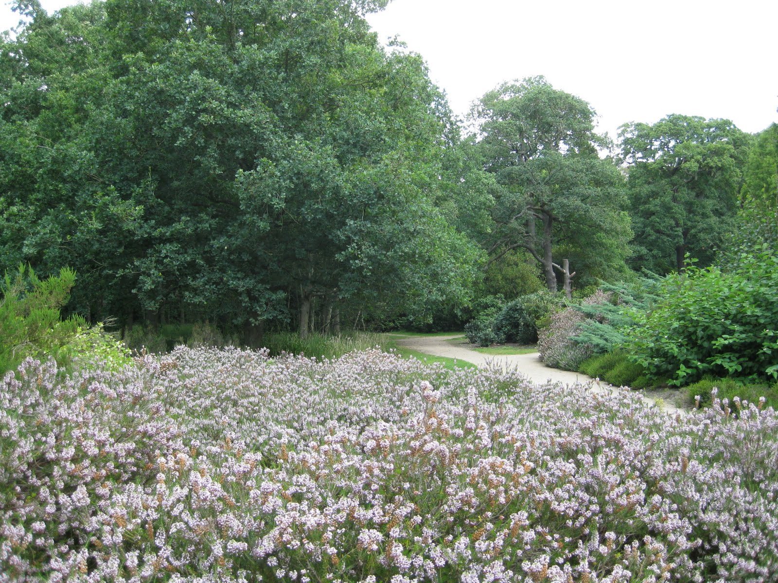 Ham Life Back to Isabella Plantation