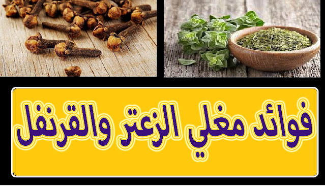 "فوائد الزعتر والقرنفل والليمون" فوائد الزعتر والقرنفل" فوائد مغلي الزعتر مع القرنفل " فوائد الزعتر المغلي مع القرنفل" فوائد مغلي الزعتر والقرنفل " مشروب الزعتر مع القرنفل " فوائد الزعتر مع القرنفل" "فوائد الزعتر والقرنفل" "فوائد الزعتر والقرنفل للشعر" "فوائد الزعتر والقرنفل والليمون" "فوائد زعتر وقرنفل" "فوائد زعتر مغلي" "الزعتر والقرنفل للشعر" "فوائد الزعتر والروزماري للشعر" "فوائد الزعتر بالليمون" "فوائد مغلي الزعتر للجنس" "فوائد مغلي الزعتر البري" "فوائد مغلي الزعتر للشعر" "فوائد مغلي الزعتر والقرنفل" "فوائد مغلي الزعتر مع الليمون" "فوائد مغلي الزعتر للتنحيف" "فوائد مغلي الزعتر مع العسل" "فوائد مغلي الزعتر للقولون" "فوائد شرب الزعتر مغلي" "فوائد الزعتر وطريقة استخدامه" "فوائد الزعتر وكيفية استخدامه" "الزعتر والروزماري للشعر" "فوائد الزعتر والليمون للتخسيس" "فوائد الزعتر مع الليمون" "الزعتر والليمون" "فوائد مشروب الزعتر والليمون" "فوائد شرب الزعتر مع الليمون" "فوائد مغلي الزعتر البري للشعر" "فوائد شرب مغلي الزعتر البري" "فوائد مغلي الزعتر على الريق" "فوائد واضرار شرب الزعتر" "مغلى الزعتر" "فوائد مغلي الزعتر الاخضر" "فوائد مغلي الزعتر للشعر والبشرة" "فوائد الزعتر المغلي للشعر" "فوائد مغلي الزعتر للبشرة" "مغلى الزعتر للشعر" "ما هي فوائد الزعتر للشعر" "فوائد الزعتر والقرنفل والليمون" فوائد الزعتر والقرنفل" فوائد مغلي الزعتر مع القرنفل " فوائد الزعتر المغلي مع القرنفل" فوائد مغلي الزعتر والقرنفل " مشروب الزعتر مع القرنفل " فوائد الزعتر مع القرنفل" "فوائد الزعتر والقرنفل" "فوائد الزعتر والقرنفل للشعر" "فوائد الزعتر والقرنفل والليمون" "فوائد زعتر وقرنفل" "فوائد زعتر مغلي" "الزعتر والقرنفل للشعر" "فوائد الزعتر والروزماري للشعر" "فوائد الزعتر بالليمون" "فوائد مغلي الزعتر للجنس" "فوائد مغلي الزعتر البري" "فوائد مغلي الزعتر للشعر" "فوائد مغلي الزعتر والقرنفل" "فوائد مغلي الزعتر مع الليمون" "فوائد مغلي الزعتر للتنحيف" "فوائد مغلي الزعتر مع العسل" "فوائد مغلي الزعتر للقولون" "فوائد شرب الزعتر مغلي" "فوائد الزعتر وطريقة استخدامه" "فوائد الزعتر وكيفية استخدامه" "الزعتر والروزماري للشعر" "فوائد الزعتر والليمون للتخسيس" "فوائد الزعتر مع الليمون" "الزعتر والليمون" "فوائد مشروب الزعتر والليمون" "فوائد شرب الزعتر مع الليمون" "فوائد مغلي الزعتر البري للشعر" "فوائد شرب مغلي الزعتر البري" "فوائد مغلي الزعتر على الريق" "فوائد واضرار شرب الزعتر" "مغلى الزعتر" "فوائد مغلي الزعتر الاخضر" "فوائد مغلي الزعتر للشعر والبشرة" "فوائد الزعتر المغلي للشعر" "فوائد مغلي الزعتر للبشرة" "مغلى الزعتر للشعر" "ما هي فوائد الزعتر للشعر"