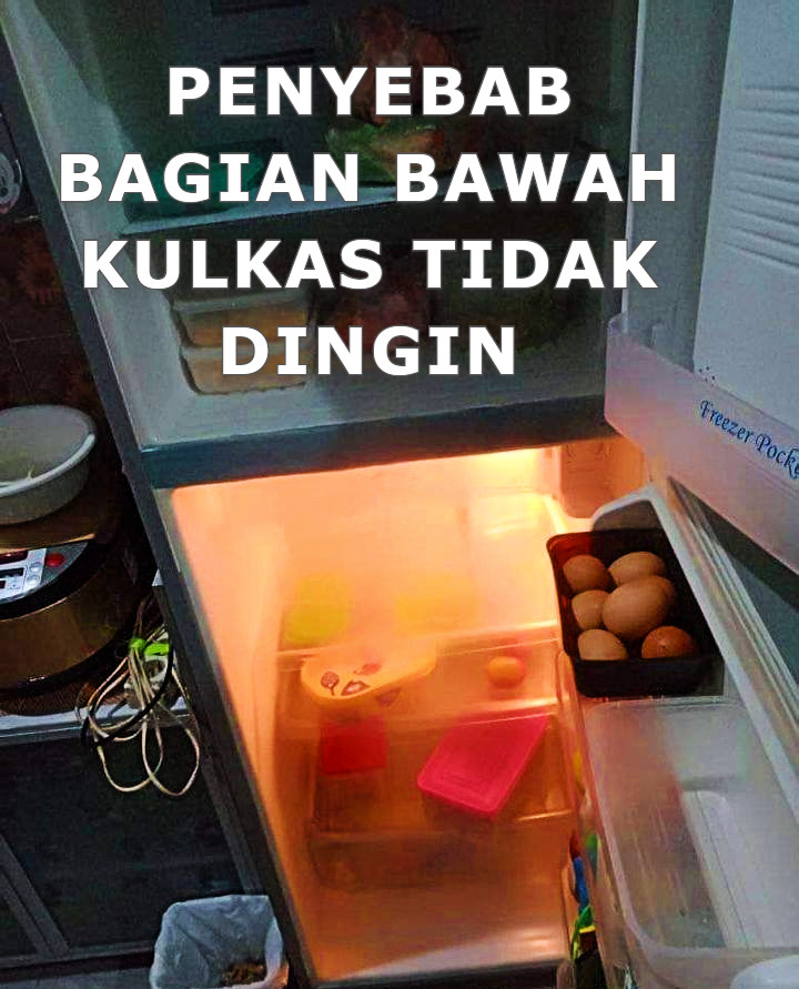 Kulkas Dua Pintu Bagian Bawah Tidak Dingin