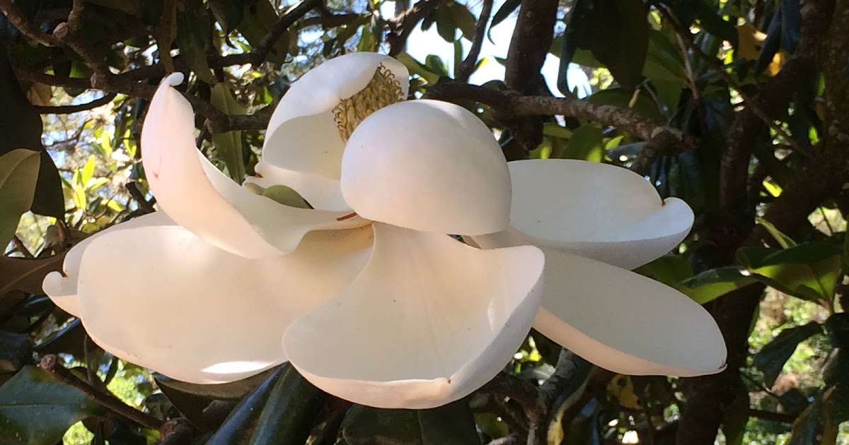 Millinocket Library Meeting and Flash Flood Warning