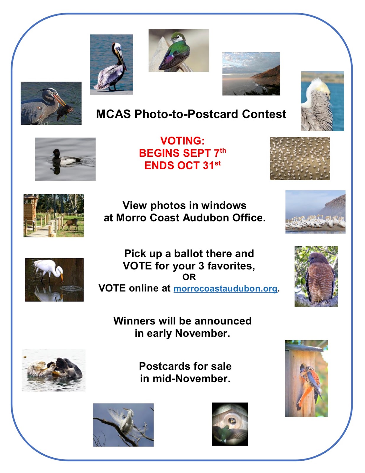 VOTING OPEN PhototoPostcard Contest Morro Coast Audubon Society
