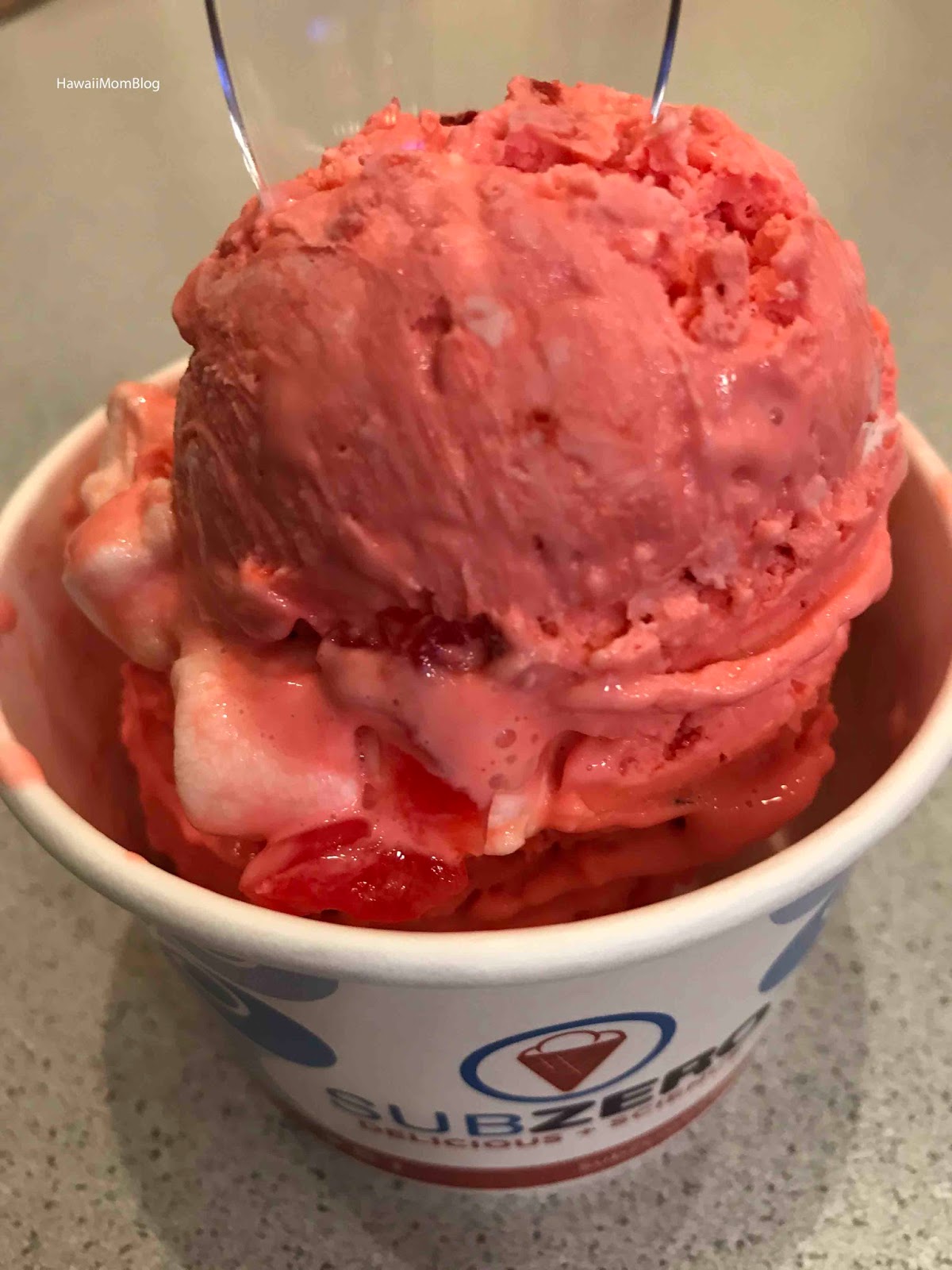 Hawaii Mom Blog Visit Indianapolis Sub Zero Ice Cream