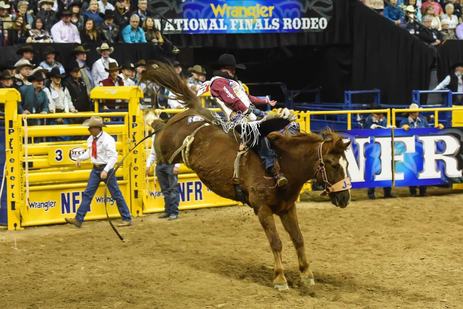 The Payson Chronicle Kaycee Feild Leads World Bareback Competition at