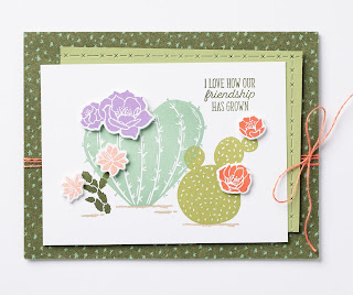 11 Stampin' Up! Flowering Cactus Product Medley Projects + Video ~ www.juliedavison.com #stampinup