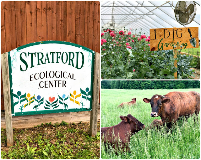Located on 236 acres in Delaware County, the Stratford Ecological Center is an organic farm & nature preserve that provides hands-on education about sustainable agriculture to its visitors.