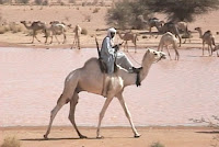 Niger-targui 1