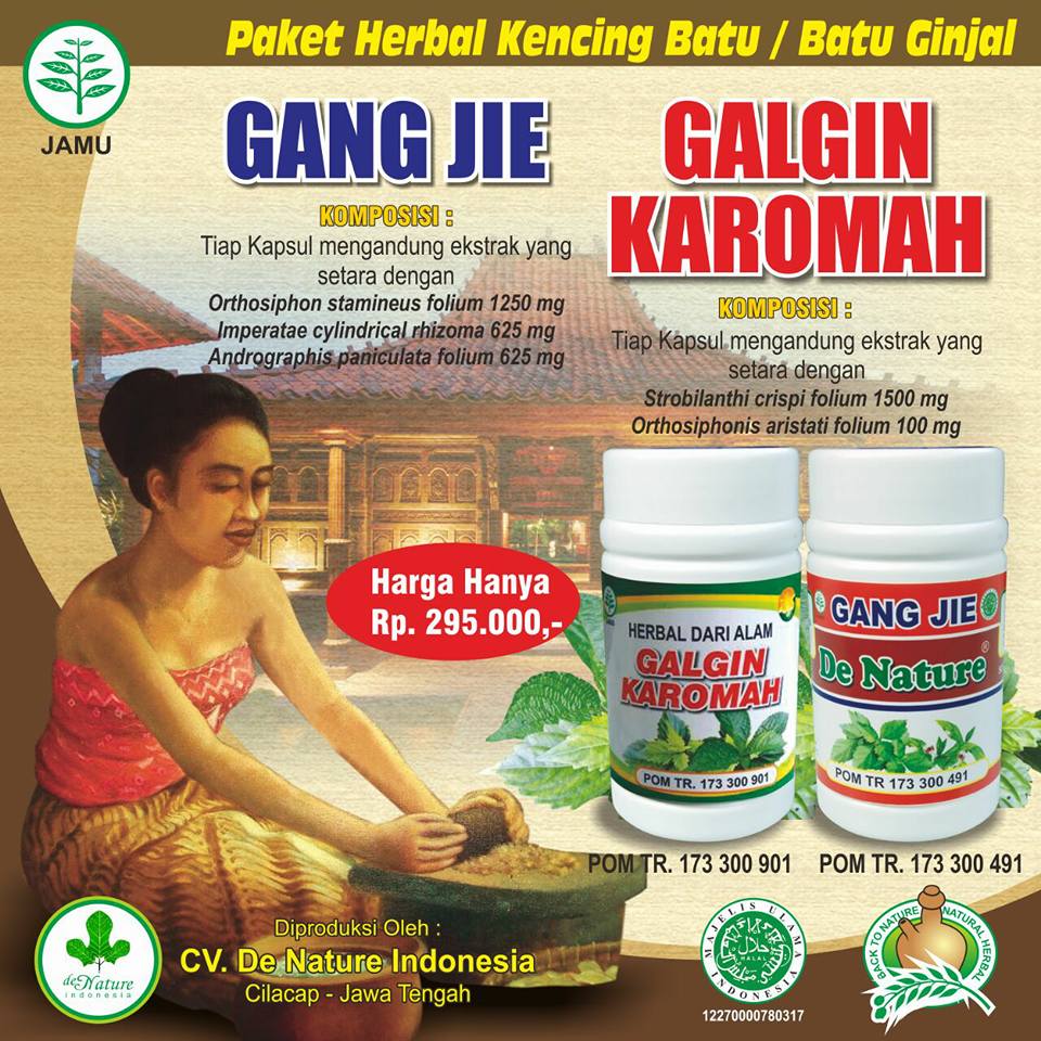 Obat Penghancur Batu Ginjal de Nature Sembuh Tanpa Operasi Obat Penghancur Batu Ginjal de Nature Sembuh Tanpa Operasi