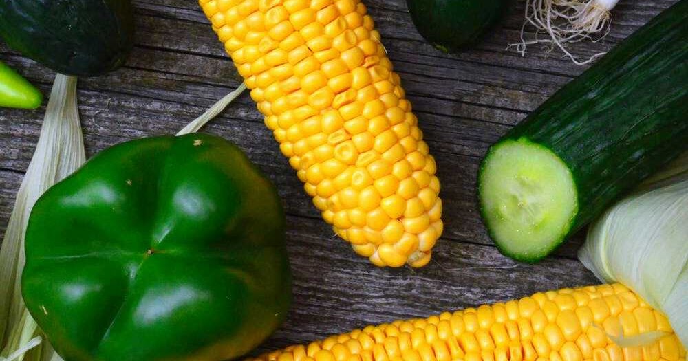 SHOCKING BENEFITS OF USING MAIZE (CORN)