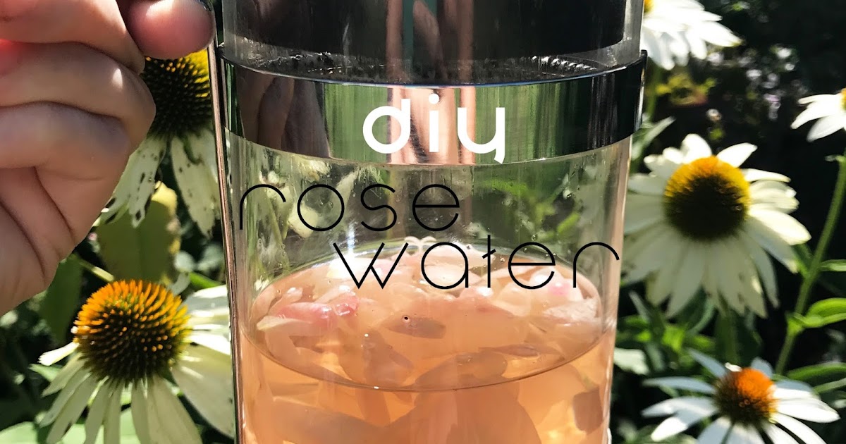 Ponderings on my Wanderings Smell Like A Rose DIY Rose Water