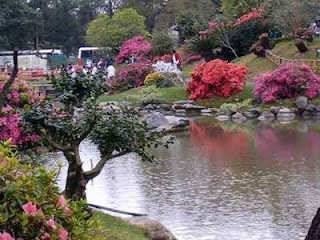 jardin japones