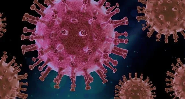 Scientists reveal a weak spot in the Corona virus