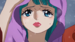 ワンピースアニメ 光月日和 花魁 小紫 ONE PIECE KOZUKI HIYORI Komurasaki