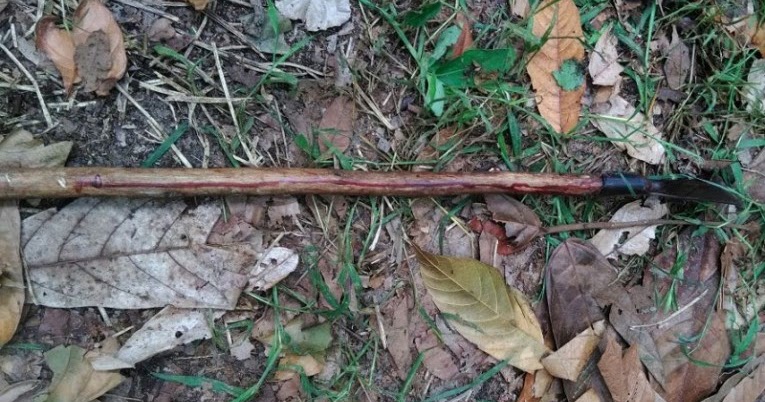 Trabalhador Mata Colega Apos Ser Chamado De Corno Portal Apora News portal apora news portal apora news