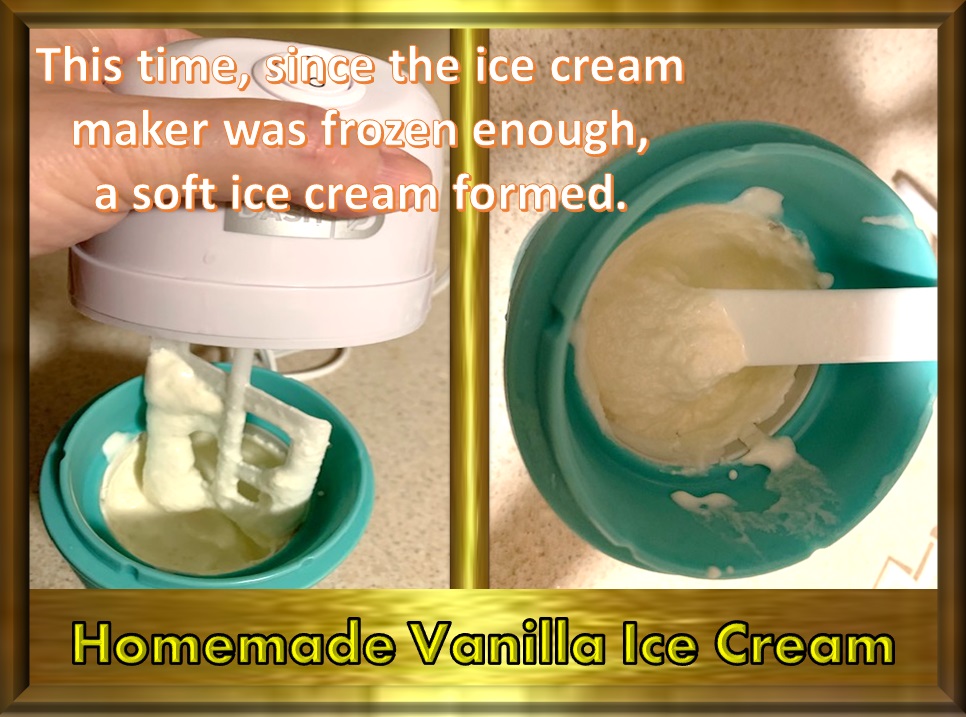 Animal, Nature, and Travel Tastebud Journey Homemade Vanilla Ice