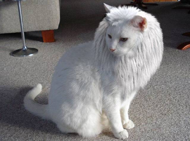 Picdump-Ritemail-006.jpg