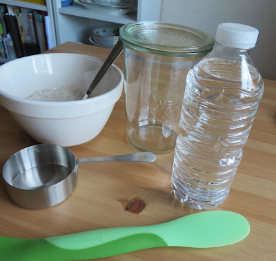 Sour Dough Starter 