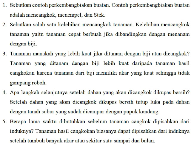 22+ Buku Tema 3 Kelas 3 Halaman 182 Pics