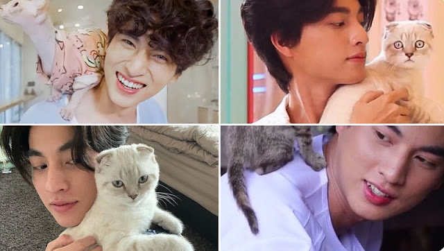 Put a pretty boy with a pretty cat and you get this