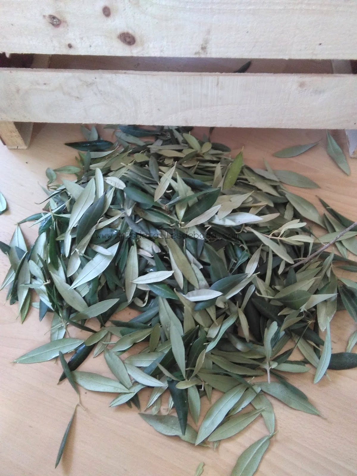 Hojas de olivo para tirar a la salida de la iglesia en bodas originales