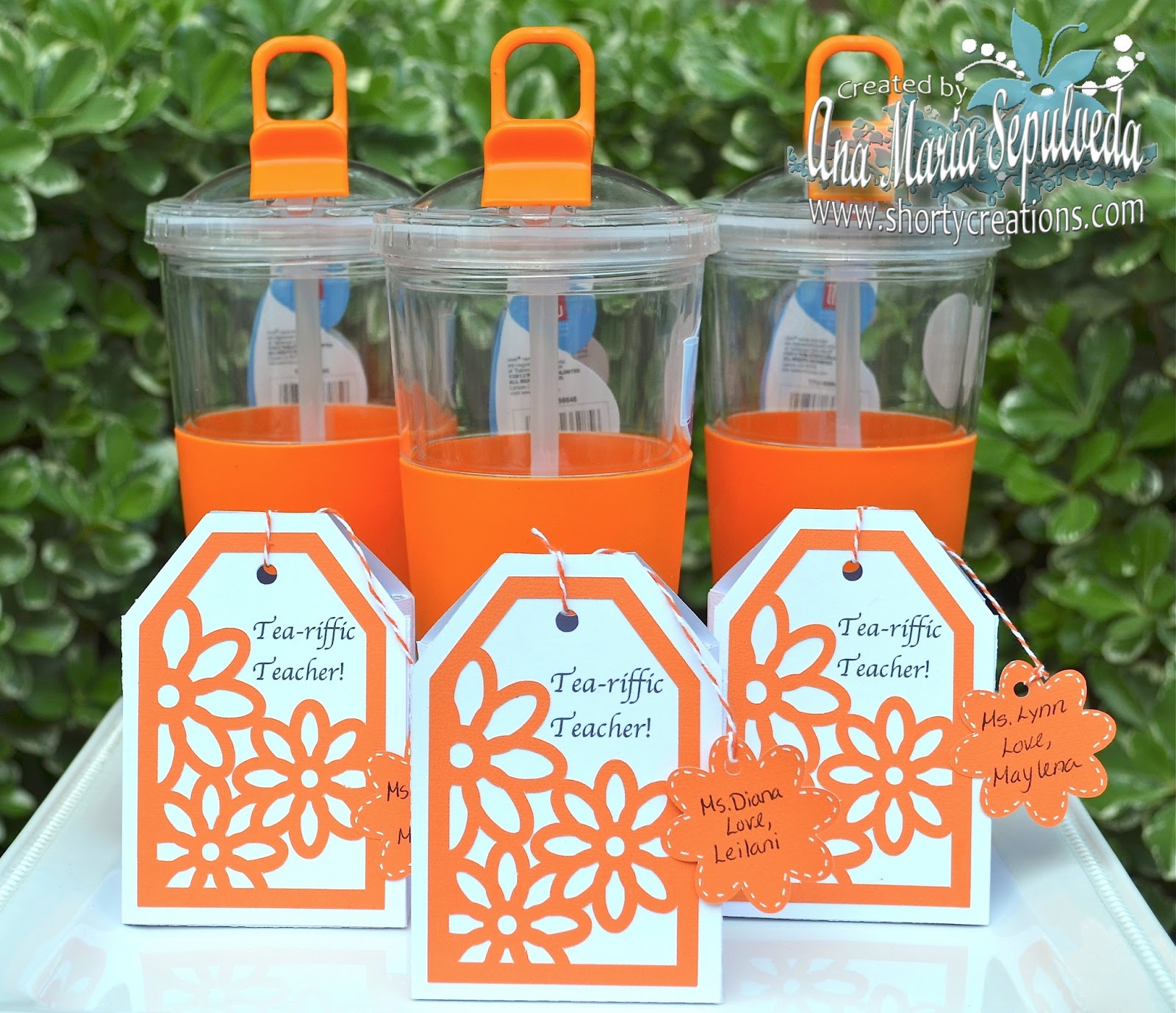 SHORTY CREATIONS Tea riffic Teacher shorty-creations-tea-riffic-teacher