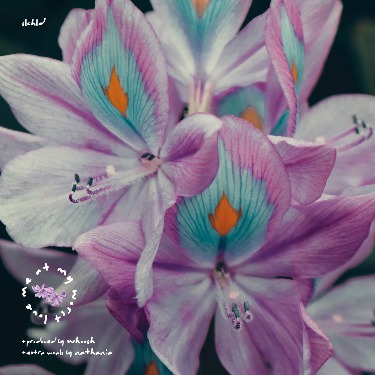 Slchld – love me at my worst – Single