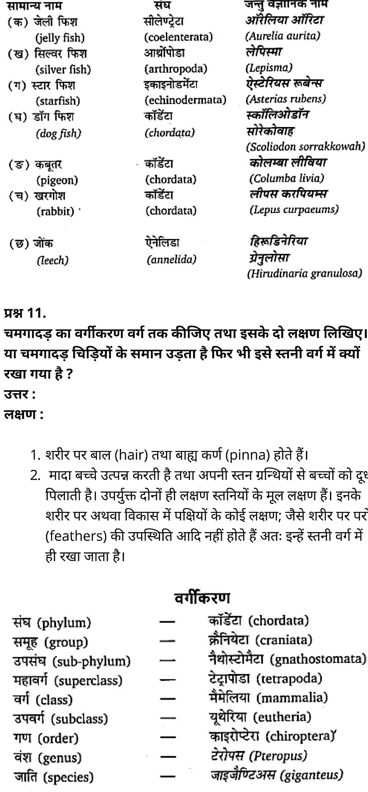 कक्षा 11 जीव विज्ञान अध्याय 4 के नोट्स हिंदी में एनसीईआरटी समाधान - Vidfom  E-learning