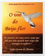 SELO DE DIVULGAÇÃO - LIVRO 'O VOO DO BEIJA-FLOR'