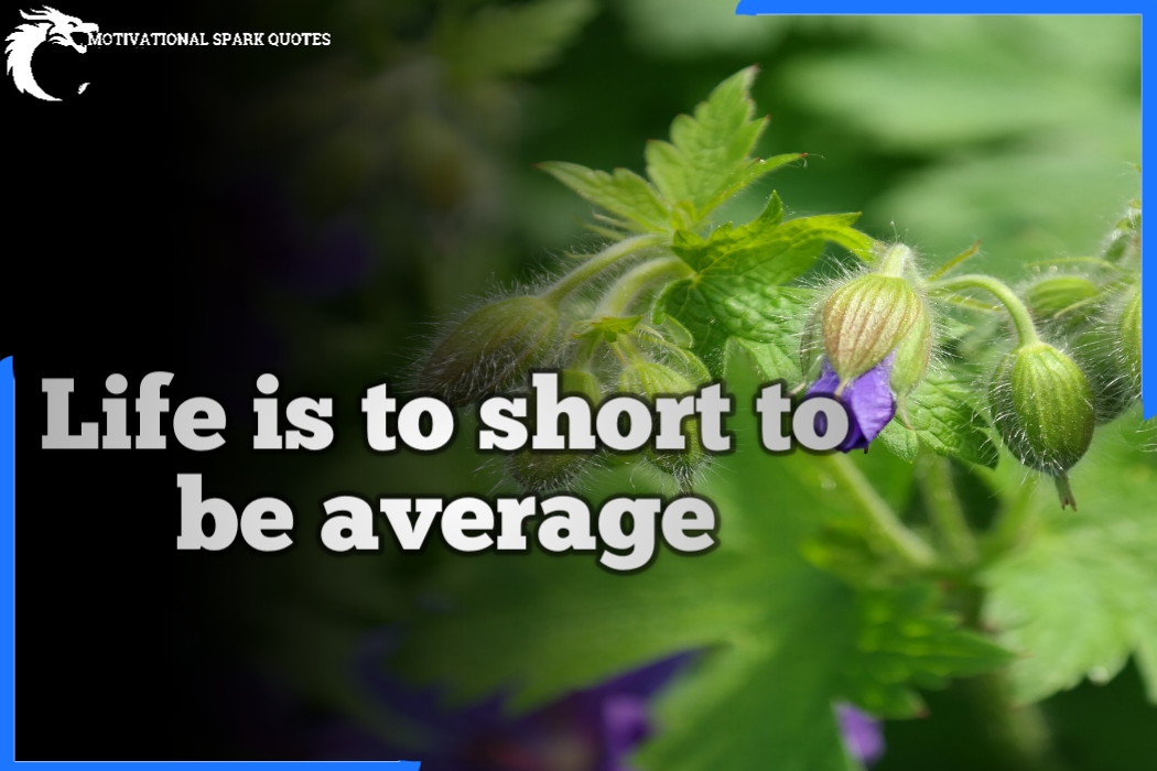 life quote-quotes about life- life quotes in Hindi-life quotes in English- life quotes image-quotes on life- quotes about life. life quote-quotes about life- life quotes in Hindi-life quotes in English- life quotes image-quotes on life- quotes about life.