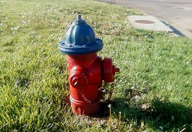 blue top fire hydrant