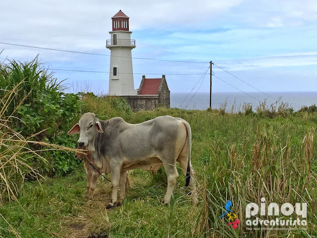 Reasons not to travel to Batanes