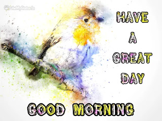 Good morning bird drawing