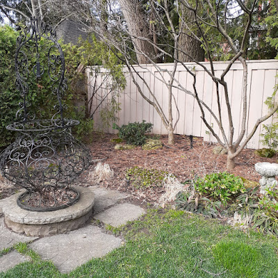 Chaplin Estates Toronto Spring Cleanup Before by Paul Jung Gardening Services--a Toronto Organic Gardener