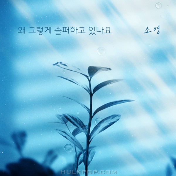 SO YOUNG – No Matter What OST Part.22