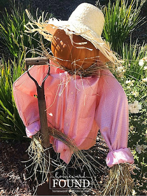 fall, fall decorating, fall home decor, scarecrows, pumpkins, pumpkin decor, Halloween decor, decorating with pumpkins, farmhouse decor, rustic decor, garden scarecrow, diy, diy home decor, diy projects, thrifted, faux pumpkins, Funkins, repurposing, upcycling, wire tomato cage crafts, in the garden. on the front porch, front porch fall decor, rusty metal, pumpkin head scarecrow.