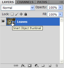 Open Smart Object in Camera Raw Open Smart Object in Camera Raw