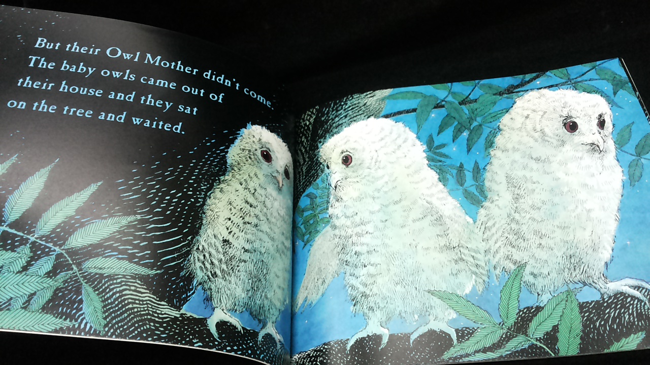 Kid Books Blog: 286.Owl Babies