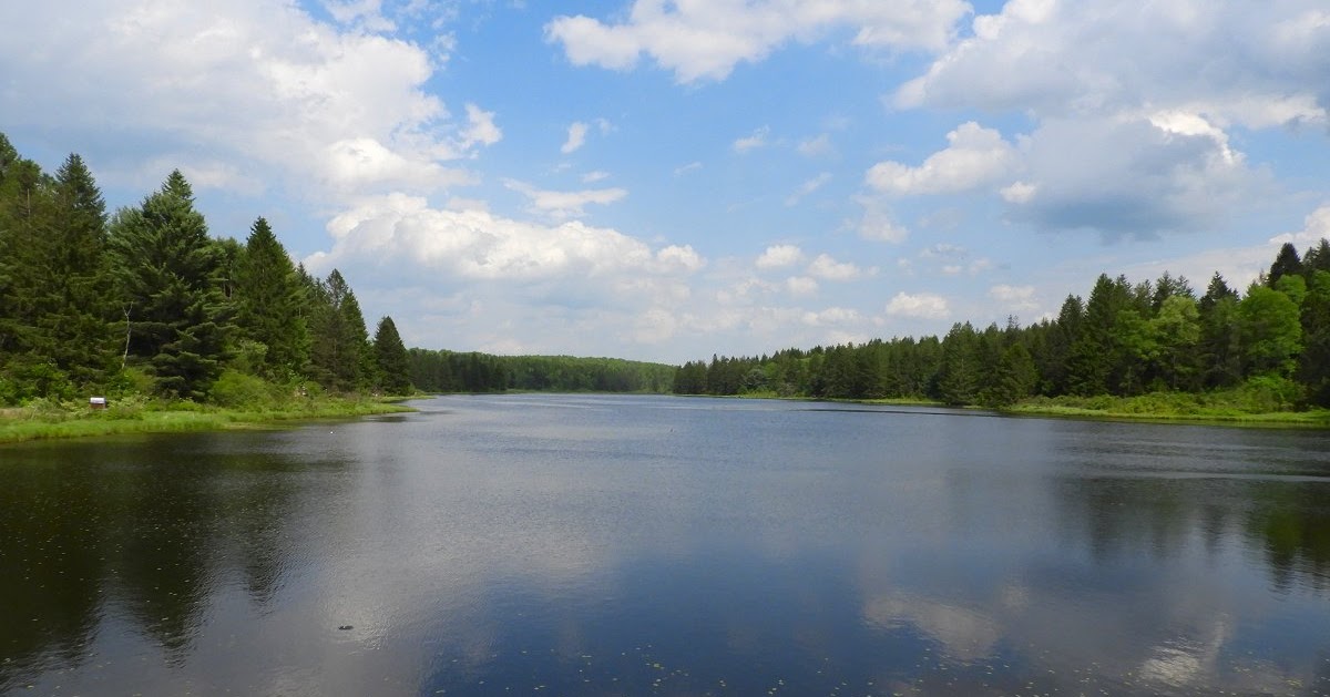 My World In Pictures 25 May 2019 Beaver Meadows